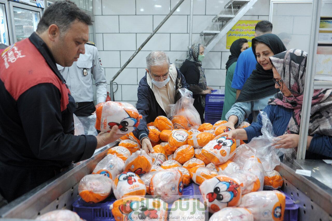 علت گرانی مرغ اعلام شد/ مرغ زنده به این قیمت رسید